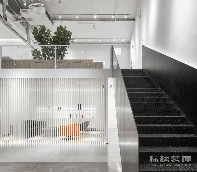 辦公室植物擺放植物有哪些，怎么擺放比較好？